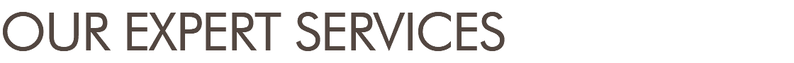 OUR EXPERT SERVICES